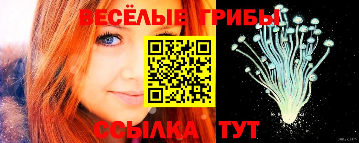 Галлюциногенные грибы мицелий  Вход с VPN  Воткинск 